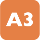 A3